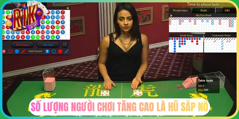 Nên tập trung vào 2 cửa cược chính